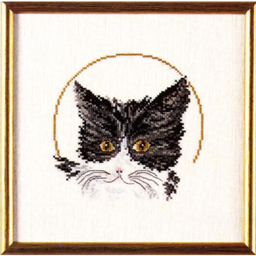 Oehlenschläger - Schwarze Katze