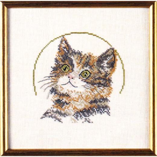 Oehlenschläger - Gestreifte Katze