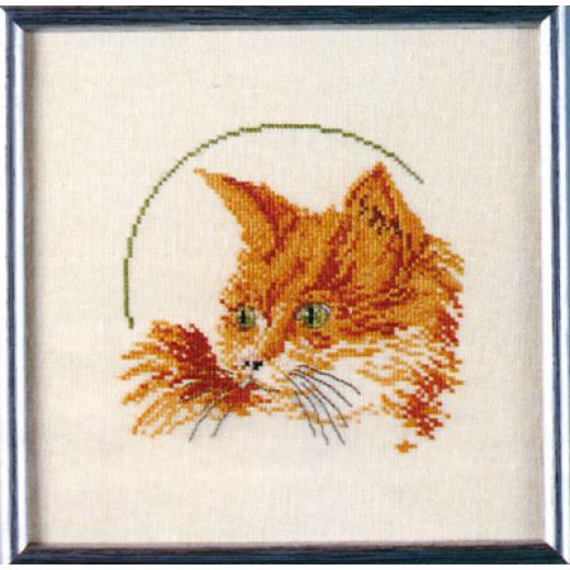 Oehlenschläger - Rote Katze