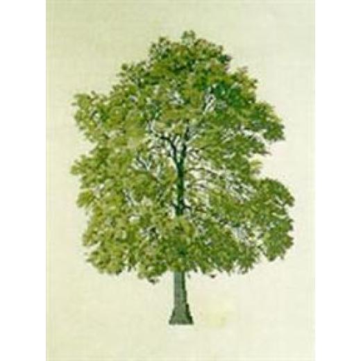 Ahorn - Haandarbejdets Fremme Stickpackung