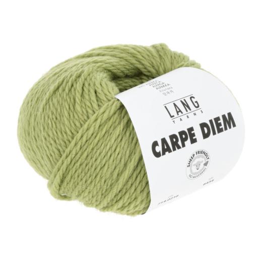Carpe Diem Lang Yarns - matcha (0216)