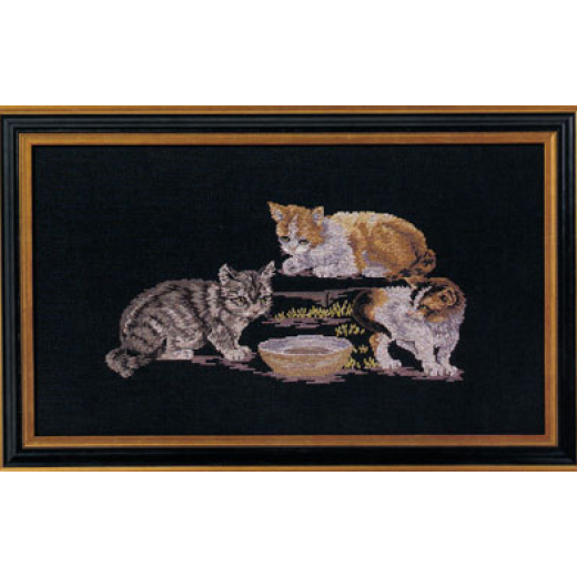 Oehlenschläger - Katzen