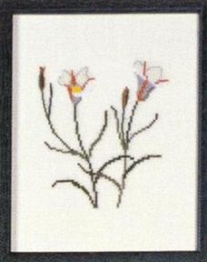 Fremme Stickpackung - Sego Lily Utah