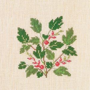 Fremme Stickpackung - Johannisbeeren 15x15 cm