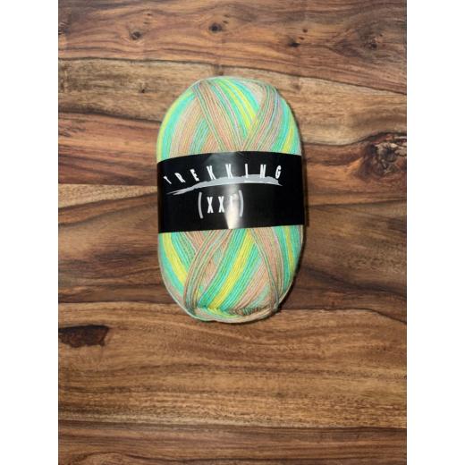 Atelier ZitronTrekking XXL Farbe 837 - Sockenwolle 4-fach