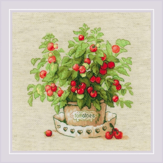 Riolis - Stickbild Tomatoes in a Pot