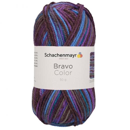 Bravo Color Schachenmayr - Violett Color (02086)
