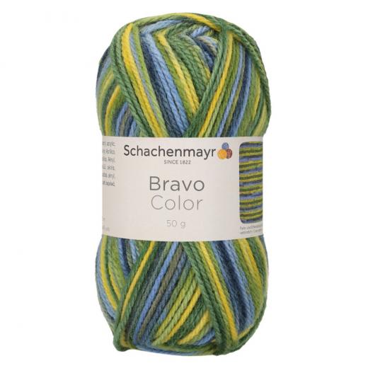 Bravo Color Schachenmayr - Barcelona Color (02093)  Ausverkauf