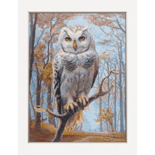 Aine - Wildwood Owl