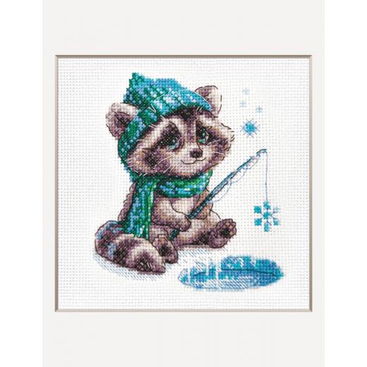 Aine - Curious Raccoon