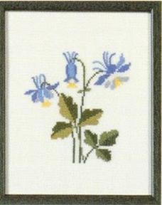 Fremme Stickpackung - Columbine Colorado