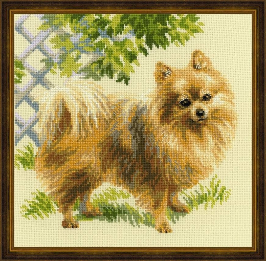 Riolis - Stickbild Pomeranian