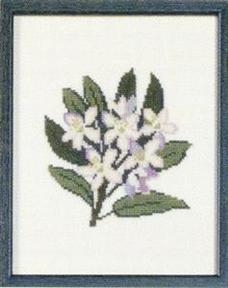 Fremme Stickpackung - Rhododendron West Virginia