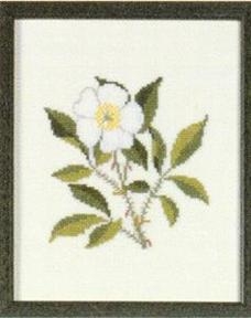 Fremme Stickpackung - Cherokee Rose Georgia