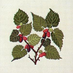 Fremme - Maulbeeren (Stickpackung)