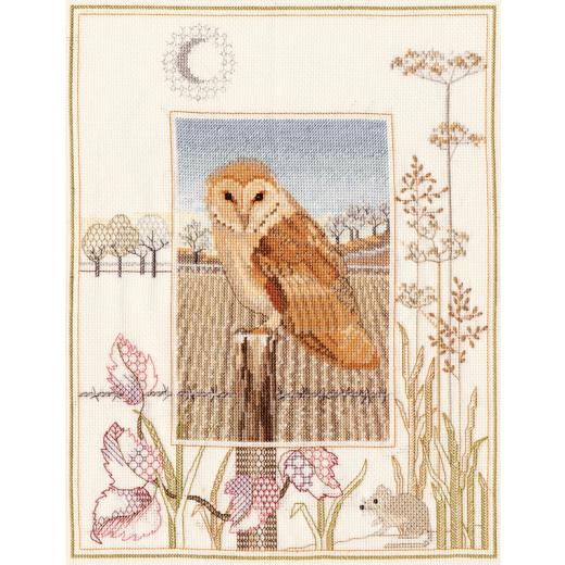 Wildlife Barn Owl - Bothy Threads Rose Swalwell (Stickpackung)