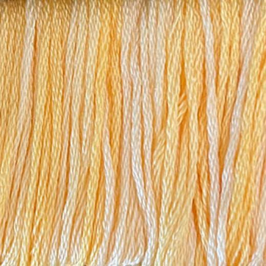 Cottage Daisies - Classic Colorworks