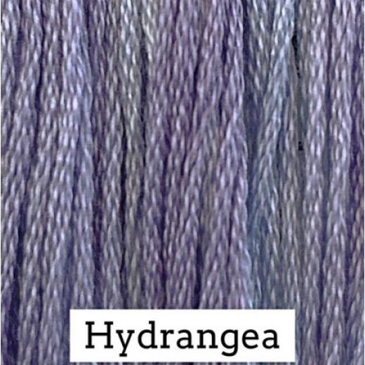 Hydrangea - Classic Colorworks