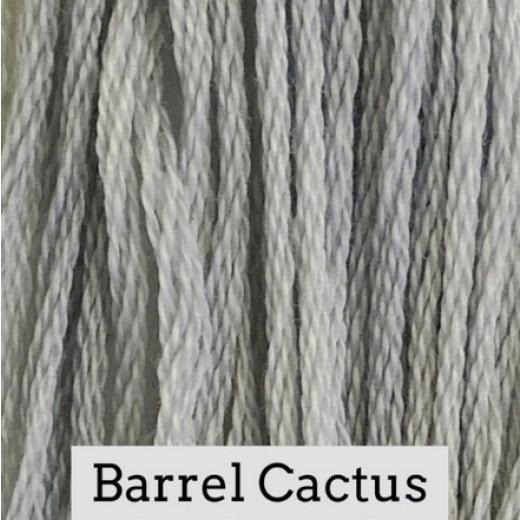 Barrel Cactus - Classic Colorworks