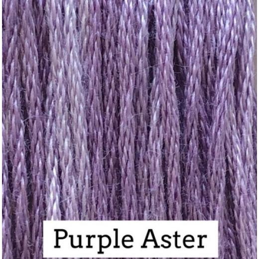 Purple Aster - Classic Colorworks