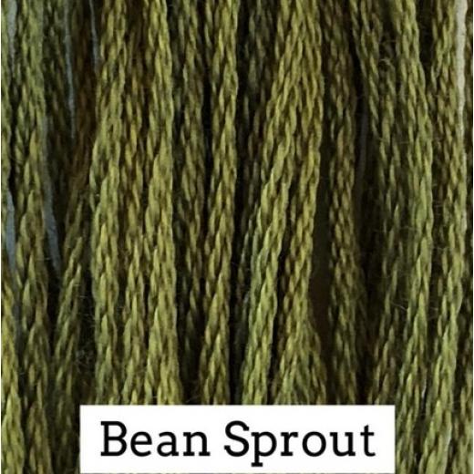 Bean Sprout - Classic Colorworks