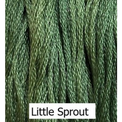 Little Sprout - Classic Colorworks
