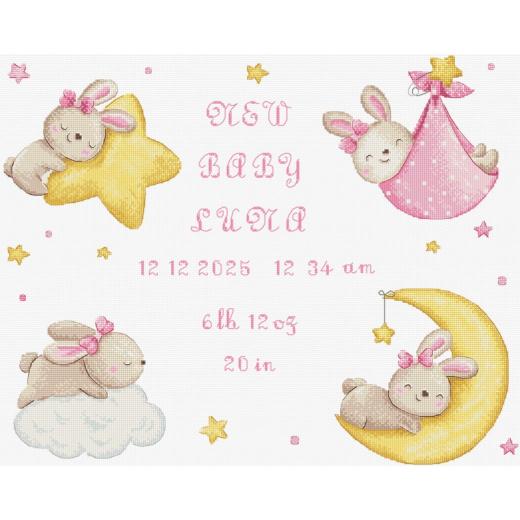 Baby Girl record - Leti Stitch (Stickpackung)