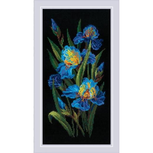 Riolis - Beatuful Irises