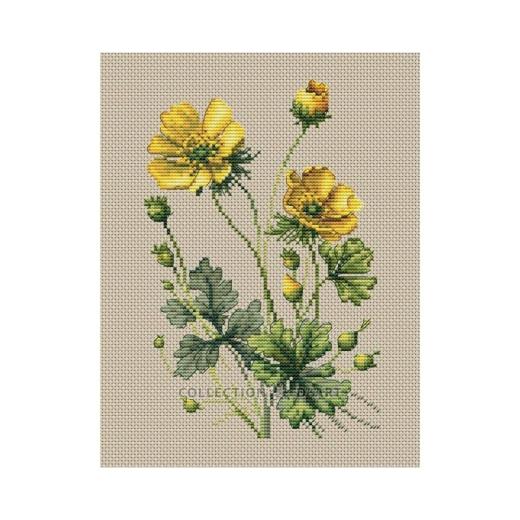 Collection dArt - Buttercups