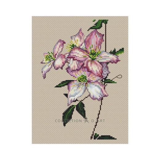 Collection dArt - Clematis