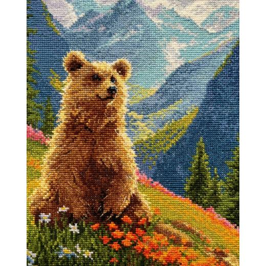 Riolis - Clumsy Bear
