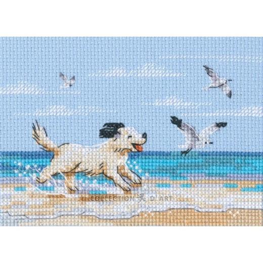 RTO - Dog Running on Beach