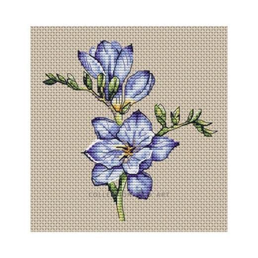 Collection dArt - Freesia