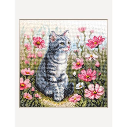 Stickpackung Aine - Garden Whiskers