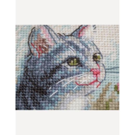 Stickpackung Aine - Garden Whiskers