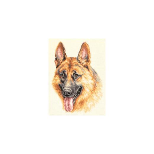 Magic Needle (Chudo Igla) - German Shepherd
