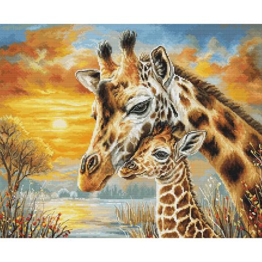 Luca-S - Giraffe Cuddle