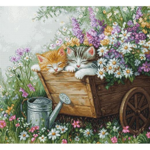 Kittens Sleep - Luca-S (Stickpackung)