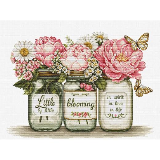 Luca-S - Little by Little Blooming