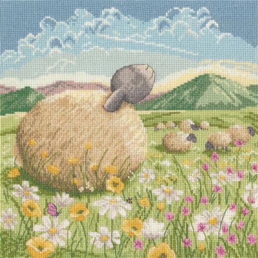 Bothy Threads - Lucy Pittaway - Basking In The Sun