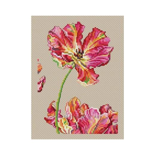Collection dArt - Tulip
