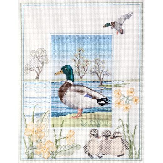 Wildlife - Mallard - Bothy Threads Rose Swalwell (Stickpackung)