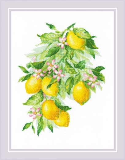 Riolis Stickpackung - Bright Lemons