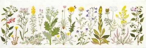 Haandarbejdets Fremme - Küstenblumen