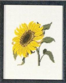 Fremme Stickpackung - Sunflower Kansas