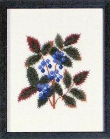 Fremme Stickpackung - Oregon Grape Oregon 17x21 cm