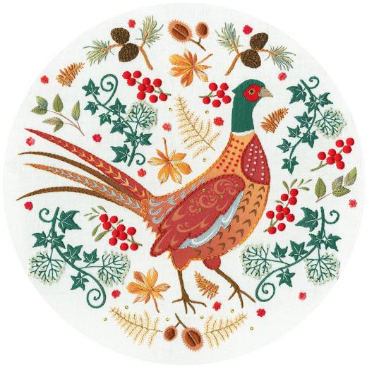 Bothy Threads - Folk Art Embroidery - Pheasant
