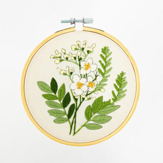 Milpoint - Achillea Ptarmica mit Stickring