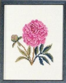Fremme Stickpackung - Peony Indiana