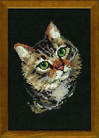 Riolis - Stickbild Grey Cat